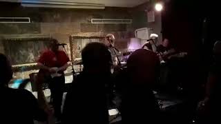 The Orchids - The sadness of sex