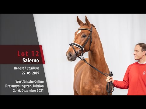 Online Dressuryoungster-Auktion Lot 12 Salerno Hengst v. Sir Heinrich - Riccio