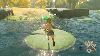 Zelda: Tears of the Kingdom Part 3 - More Exploration and Cooking