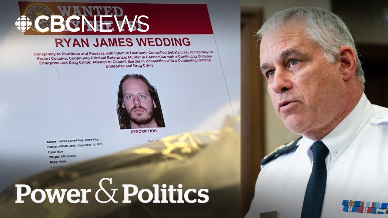 Former Olympian-turned drug lord is 'up there' with El Chapo, top Mountie says | Power & Politics