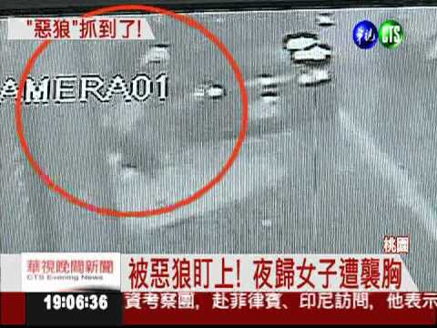 專挑落單女子下手! 桃園惡狼落網