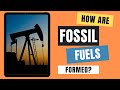 How are Fossil Fuels Formed? | Coal, Oil & Natural Gas