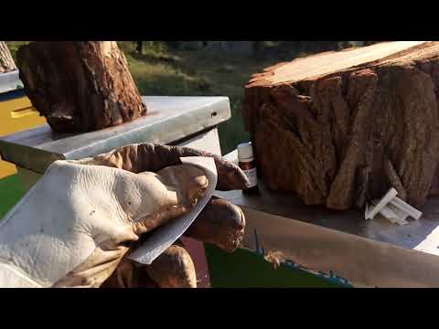 Tretiranje pčela mitakom 30 jul 2019