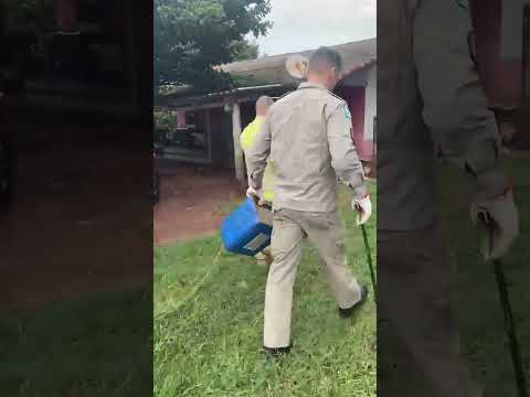 😱🐍 Susto no interior de Terra Roxa!