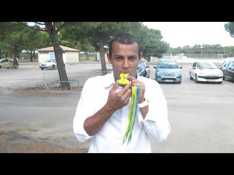 Vitorino Hilton & Sambapito 2