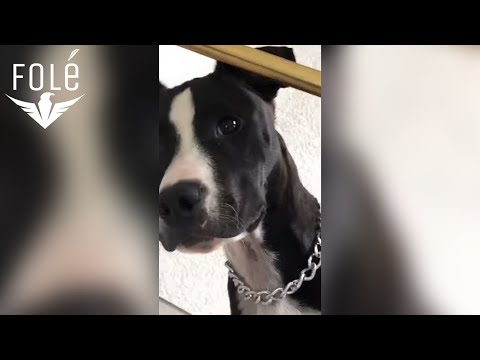 BABAFLAME - OverDose (Prod. by VIZION RECORD's)