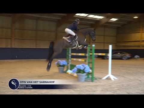 OTIS VAN HET SARNAHOF