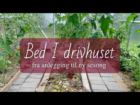 , title : 'Bed i drivhuset - fra anlegging til ny sesong!'