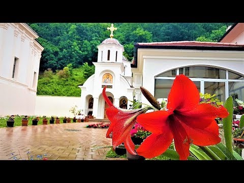 Exploring MONASTERIES and THE HOLY MOUNTAIN Fruska Gora | vojvodina, serbia | ENJOY WATCH