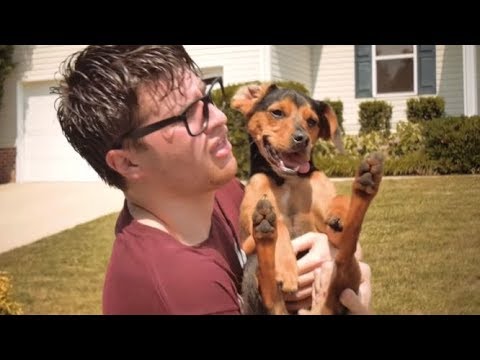 Sunrise Skater Kids - Friendville [Official Video]