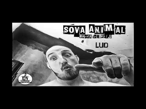 Sova Animal - Lud