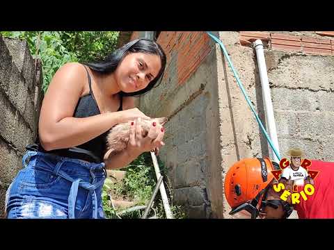 Gato caiu no poço no quintal cheio de crianças na Favela do Justinos.