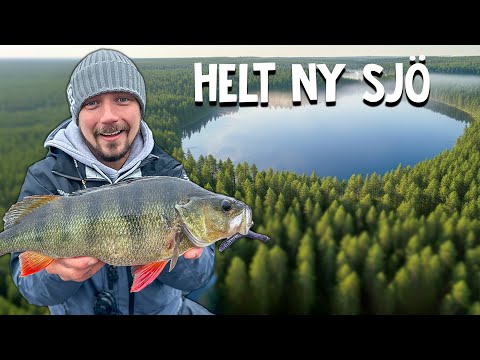 Exploring Unknown Lakes – Will We Catch BIG PERCH?!