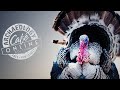 Ancestral Pueblo Turkey Penning In Perspective