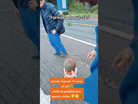 paradinha para comprar pinhão!😋😁Formosa do Sul-SC.🛣