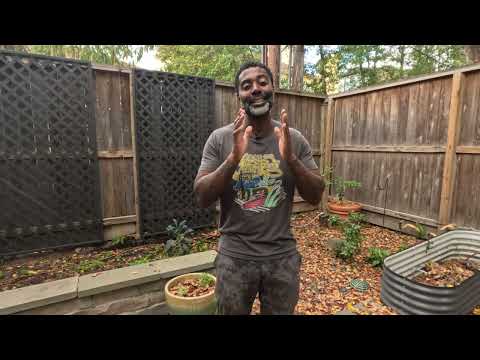 Plant These NOW in January | Zone 9 Gardening