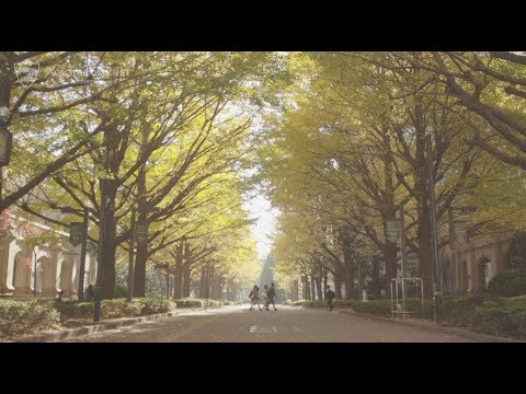 【AOGAKU MOVIE】Have wonderful Autumn days at Aoyama Campus !