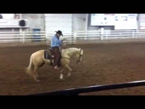 Barbie Ranch Horse Contest 2013