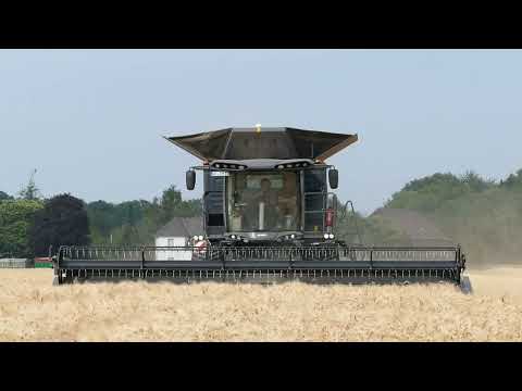 FENDT IDEAL 8T  - Gerste ernten 2025 / Fendt Combine Harvester 8T -  Barley Harvest 2025