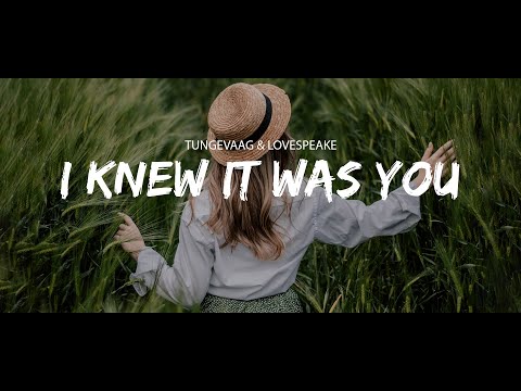 Tungevaag & Lovespeake - I Knew It Was You (Sub Español/Lyrics)