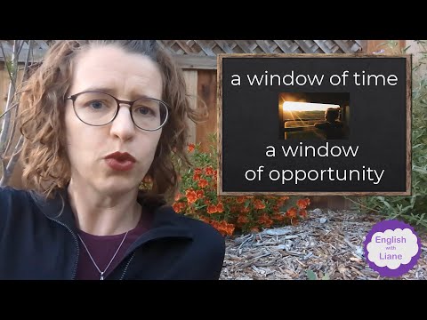 Idioms - a window of time, a window of opportunity, a short window, a small window