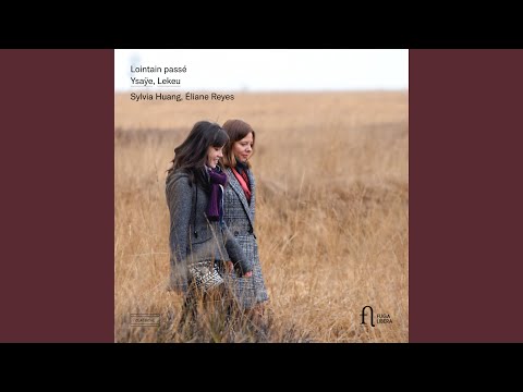 Violin Sonata in G Major: Très animé