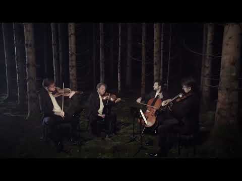 Goldmund Quartet - Philip Glass: Streichquartett No. 3 "Mishima": Closing (Music Video)
