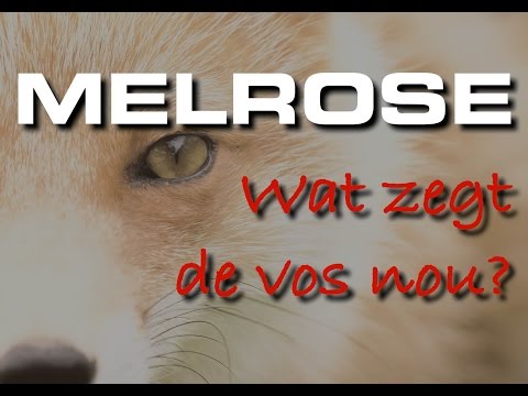 Melrose - Wat zegt de Vos nou
