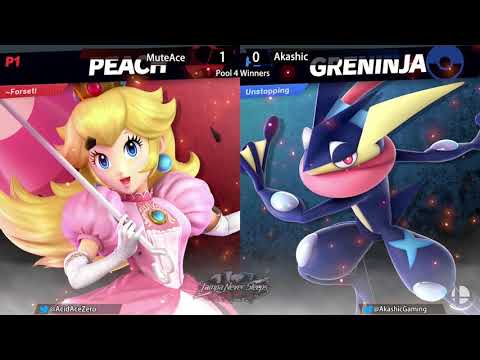 SSBU - TNS 1/19/19 - MuteAce vs. Akashic