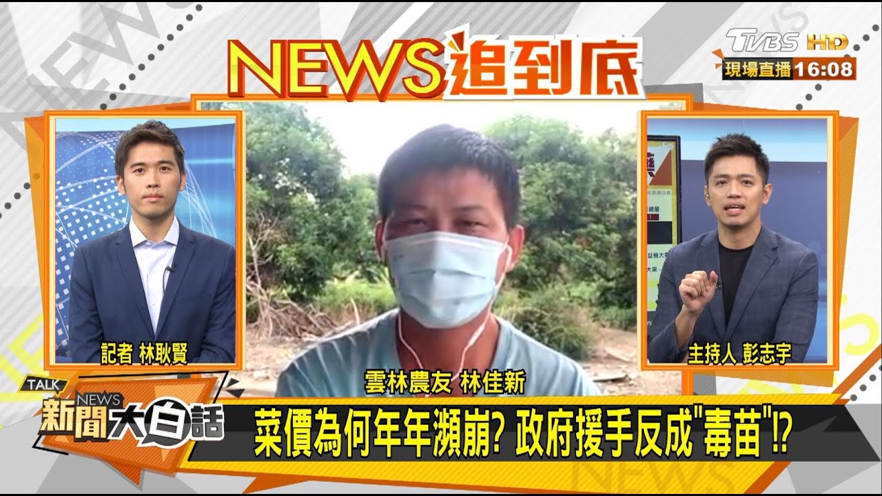 高麗菜年年超種 林佳新:政府應深思如何確實控管