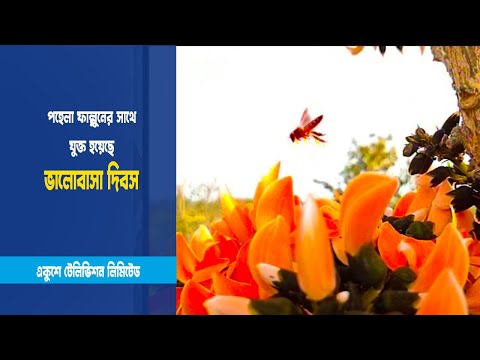 প্রকৃতির রঙে ভালোবাসার উৎসব