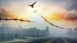 מסע זכור ימות עולם - הרישום נפתח (הרב מרדכי דוד נויגרשל) - התמונה מוצגת ישירות מתוך אתר האינטרנט יוטיוב. זכויות היוצרים בתמונה שייכות ליוצרה. קישור קרדיט למקור התוכן נמצא בתוך דף הסרטון