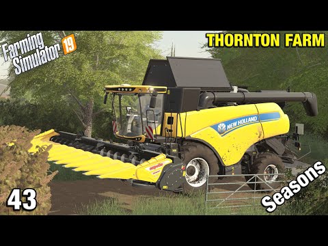 GETTING THE SUNFLOWERS HARVESTED Thornton Farm Timelapse - FS19 Ep 43
