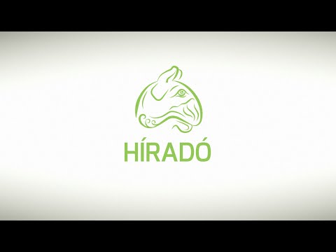 Híradó 2022. 11. 03.