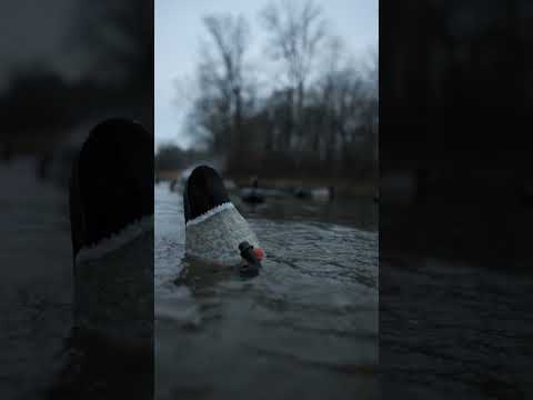 Adjust How Much Water Spray