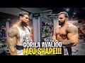 GORILA AVALIOU MEU SHAPE!! *disse o que preciso melhorar*