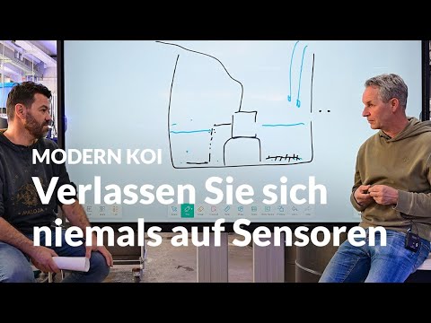 These koi narrowly escaped death | Modern Koi Blog #6524