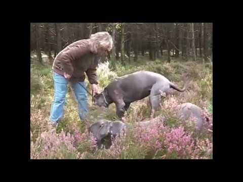 Soulmates Yvonne & Nakiya