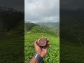 My Mix Calming Music Travel Lonely Alone Nature WhatsApp Status