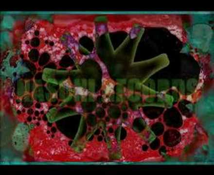 Polytoxicomane Philharmonie -Dervish
