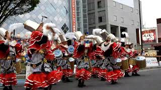 草加よさこいサンバフェスティバル2023 G R E S 仲見世バルバロス②