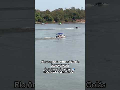 Rio Araguaia Aruanã Goiás #youtubeshorts #pescaria #pescacombambu #pesca #fishing #cardume #peixe