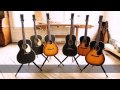 The Martin Guitar 17-Series
