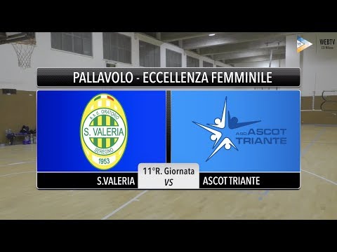 Sintesi S. Valeria - Ascot Triante