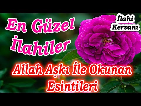 🌹En Güzel İlahiler🌹Karışık Ağlatan İlahiler🌹Yürek Yakan Yeni İlahiler🌹Full İlahi Albümü Dinle