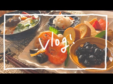 vlog / 20210101 / あたらしい年！