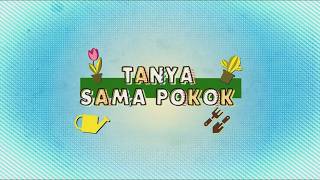 Download lagu Upin & Ipin S12E08 - Tanya Sama Pokok mp3 Download lagu Upin & Ipin S12E08 - Tanya Sama Pokok mp3