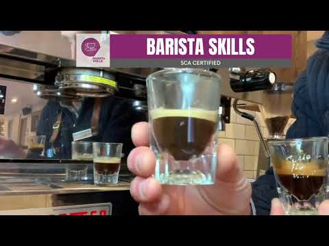 SCA Barista Skills Online Offline Combination Certification!