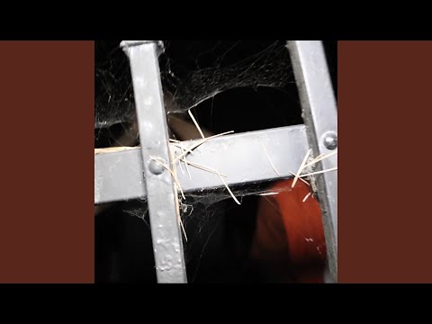 Grimey Ways (feat. C0LDGAME)