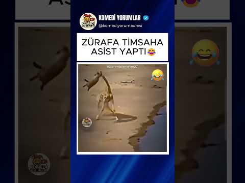 ZÜRAFA TİMSAHA ASİST YAPTI 😂 #shorts #komikyorumlar